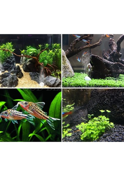 Akvaryum Co2 Tablet Karbon Dioksit Difüzörü Co2 Reaktörü Suda Bitkileri Ot Gras Yavaş Salım Için Fish Tank (Yurt Dışından) fırsatları