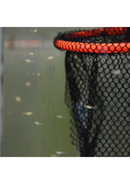 Siyah Stil Nuonuo Yüzen Ağ Yavruları Yavru Yuvası Akvaryum Balık Tankı Guppy Yetiştirme Malzemeleri (Yurt Dışından) modelleri