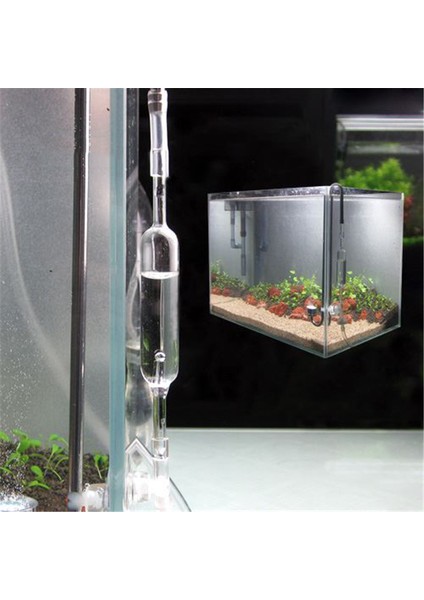 Şeffaf Stil Akvaryum Co2 Kabarcık Sayacı Su Bitkileri Balık Tankı Co2 Regülatör Enjeksiyon Sistemi Ölçüm Cihazı Co2 Dağıtıcı Aksesuarları (Yurt Dışından)