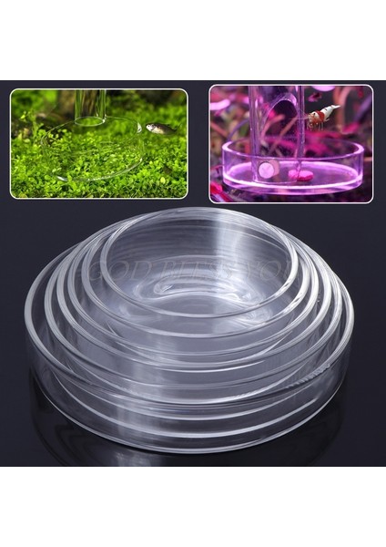 Beyaz Stil 8cm Yeni Gelen Akvaryum Karides Cam Yem Kasesi Tepsi 6 Boyutlu (Yurt Dışından) fiyatları