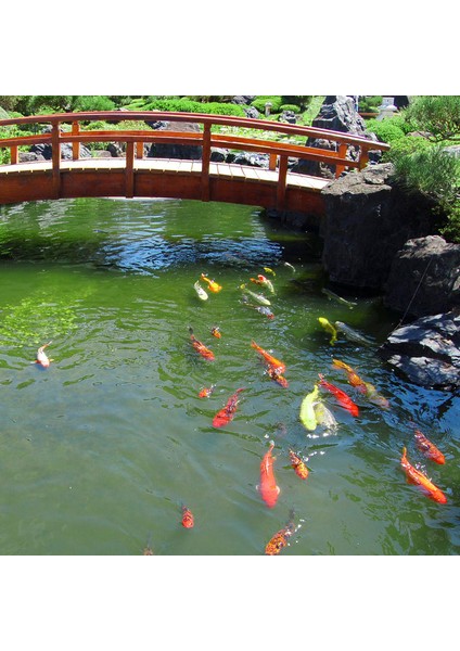 Beyaz Stil Yüzen Gölet Koruyucu Plastik Ağ Balık Kafesi Kafes Kapak Kuş Zararlıları EIG88 (Yurt Dışından) indirimleri