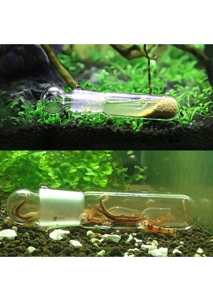 1 Delik Stili Akvaryum Planaria Tuzak Balık Tankı Temiz Cam Tutma Tuzakı Kiraz Karidesi Kristal Kırmızı Karides Cüce Karides Düz Solucanlar Sülükler (Yurt Dışından) fırsatları