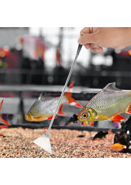 Çanta Tarzı ile 3 Adet Alet Akvaryum Araçları Seti Bitki Cımbızı ve Törpüleri Çim Paslanmaz Çelik Temizleme Araçları Bitkiler Balık Tankı Aksesuarları (Yurt Dışından) fırsatları