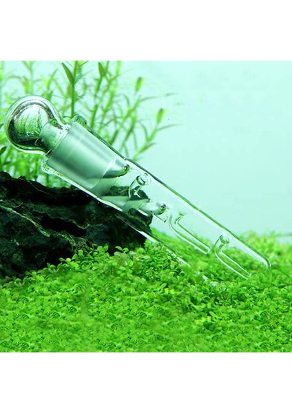 B Tarzı 1 Adet Delikli Salyangoz Böcek Cam Planarya Sülük Tuzak Yiyecek Kalem Kutusu Akvaryum Temizleyici Aracı Turkish (Yurt Dışından) fiyatları