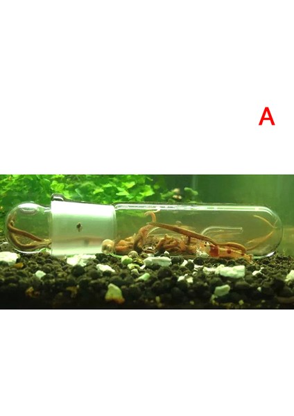 B Tarzı 1 Adet Delikli Salyangoz Böcek Cam Planarya Sülük Tuzak Yiyecek Kalem Kutusu Akvaryum Temizleyici Aracı Turkish (Yurt Dışından) modelleri