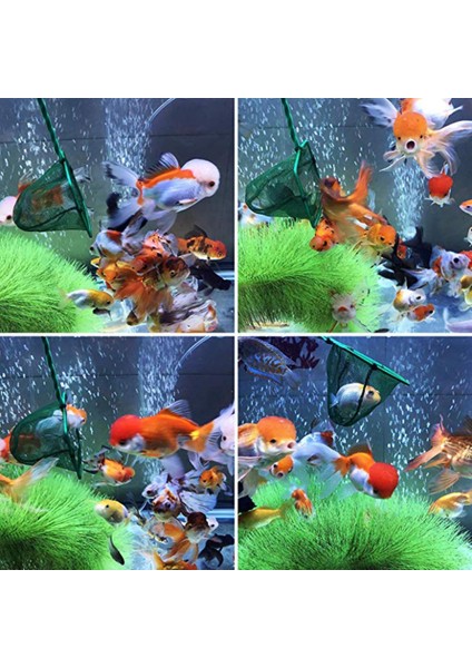 4 Inç Tarzı Balık Yeşil Uzun Sap Güçlü Rulmanlı Akvaryum Aksesuarı Ince Örgülü Akvaryum Büyük Kapasiteli Balıkçılık Karides Ağı Aktarım Ağı (Yurt Dışından) fiyatları