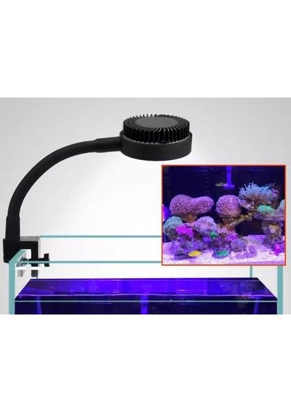 ZN1020 1 Stil Zetlight LED Işık LED Tam Spektrum Nano Küçük Akvaryum Balık Tankı Deniz Su Tuzlu Su Deniz Mercan Resifi LED Işık (Yurt Dışından) modelleri