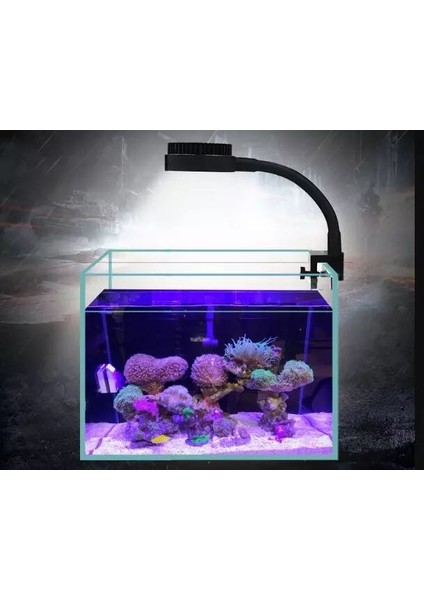 ZN1020 1 Stil Zetlight LED Işık LED Tam Spektrum Nano Küçük Akvaryum Balık Tankı Deniz Su Tuzlu Su Deniz Mercan Resifi LED Işık (Yurt Dışından) fırsatları