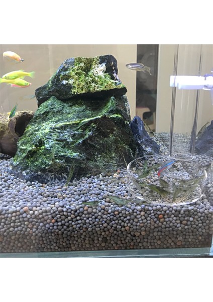 20CM Tarzı Akvaryum Için Karides Besleme Tüpü Cam Balık Yemi Dağıtıcı Su Altı Akvaryum Balık Tankı Balık Yemi Dağıtma Tüpü Emme Kupaları (Yurt Dışından) fırsatları