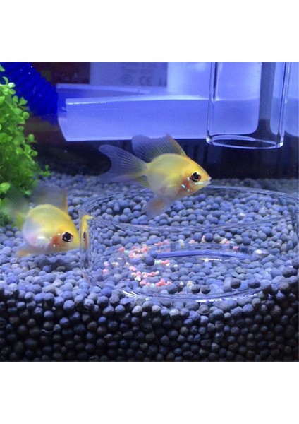 20CM Tarzı Akvaryum Için Karides Besleme Tüpü Cam Balık Yemi Dağıtıcı Su Altı Akvaryum Balık Tankı Balık Yemi Dağıtma Tüpü Emme Kupaları (Yurt Dışından) indirimleri