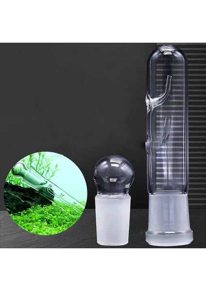 C Stili 1 Adet Delikli Salyangoz Böcek Cam Planarya Sülük Tuzak Yiyecek Kalem Kutusu Akvaryum Temizleyici Aracı Turkish (Yurt Dışından) fırsatları