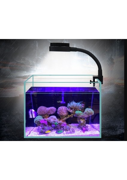 ZN1050 M1 (6W) Stili Zetlight LED Işık LED Tam Spektrum Nano Küçük Akvaryum Balık Tankı Deniz Suyu Tuzlu Su Deniz Mercan Resifi LED Işık (Yurt Dışından) modelleri