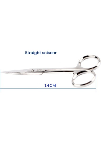 Düz Stil Ada Tarzı Vıv Bükme Düz Baharlı Veya Paslanmaz Çelik Veya Bitki Tankları Akvaryum Için (Yurt Dışından) indirimleri