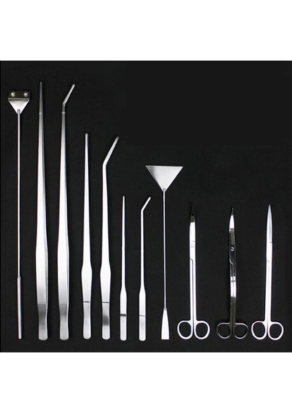 38CM Düz Cımbız Tarzı 1 Parça Akvaryum Temizleyici Düz Eğri Cımbız Veya Yosun Temizleyici Balık Tankı Akvaryum Bitki Aracı Veya Cımbız Temizleme Aracı Rafı (Yurt Dışından) modelleri