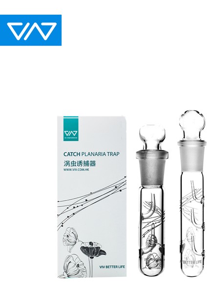 110 mm Tarzı Vıv Cam Planaria Yakalama Karides Tankı Balık Tuzak Bitki Akvaryumu Yükseklik 11CM 14CM Temiz Su (Yurt Dışından) indirimleri