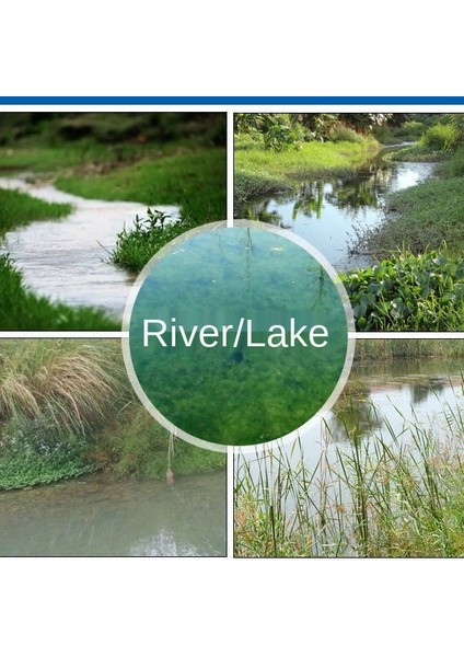 10 Delik Stili Katlanabilir Taşınabilir 20 Delikli Balık Ağı Ağ Ağlama Yengeç Tuzakı Karides Yavru Yengeç Yem Tuzağı Kafesler Ağlar Aracı (Yurt Dışından) modelleri