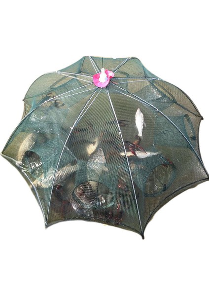 10 Delik Stili Katlanabilir Taşınabilir 20 Delikli Balık Ağı Ağ Ağlama Yengeç Tuzakı Karides Yavru Yengeç Yem Tuzağı Kafesler Ağlar Aracı (Yurt Dışından) fırsatları