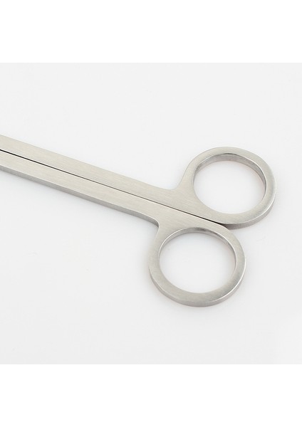 Pp Tarzı ile 25CM Viraj Akvaryum Araçları Paslanmaz Çelik Akvaryum Temizleyici Balık Tankı (Yurt Dışından) modelleri