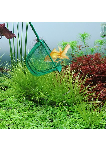 4 Inç Tarzı Taşınabilir Balık Tankı Balık Ağı Cebi Kare Balık Ağı Akvaryum Balıkçılık Ağı Süs Balığı Büyük Küçük Ağ Balık Tutma Aracı (Yurt Dışından) fırsatları