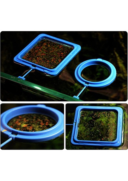 Bir Stil Zrdr Akvaryum Yüzük Balık Tankı Istasyonu Yüzen Yiyecek Tepsisi Kare Daire Aksesuarı Su Bitkisi Batıklığı Emme Kupası (Yurt Dışından) modelleri