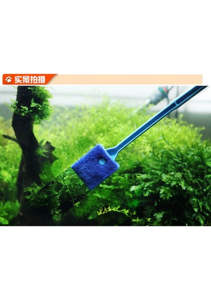 Mavi 40CM Tarzı Akvaryum Balık Tankı Cam Bitki Temizleme Fırçaları Yüzen Temiz Pencere Yosunu Kazıyıcı Sünger Aksesuarları Araçları Yüksek Kalite (Yurt Dışından)