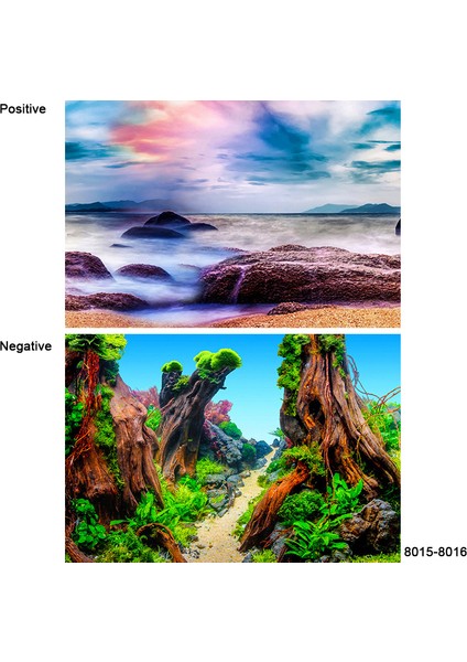 8015-8016 Stili 30X50CM 3D Sticker Poster Akvaryum Dekorasyon Arka Plan Boyama Balık Tankı Süsü Su Manzarası Okyanus Deniz Bitkileri Arka Plan Aksesuarları (Yurt Dışından)