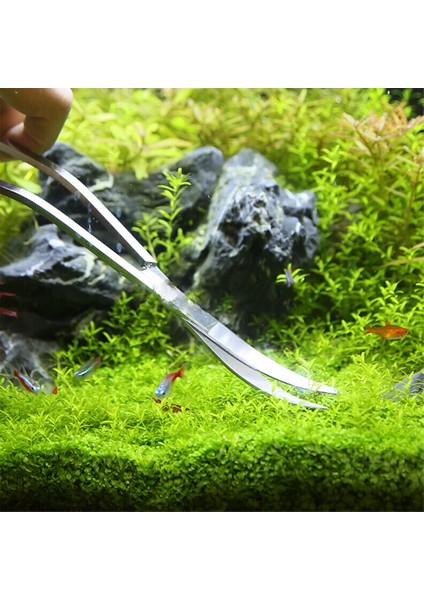 C3 Stili Akvaryum Temizlik Araçları Seti Bitki Cımbızları Paslanmaz Çelik Aracı Kiti Balık Tankı Aksesuarı Temizlik Aracı (Yurt Dışından) indirimleri
