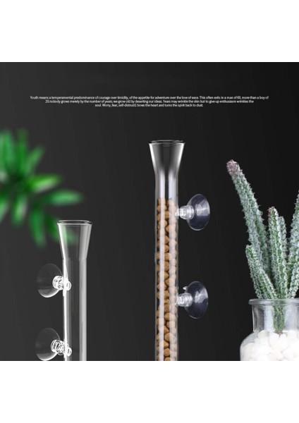 25CM Tarzı Şeffaf Cam Karides Yemleme Tüpü Akvaryum Karides Yemleme Kabı Yem Tepsisi Balık Tankı Akvaryum Aksesuarları ile Kase (Yurt Dışından) modelleri