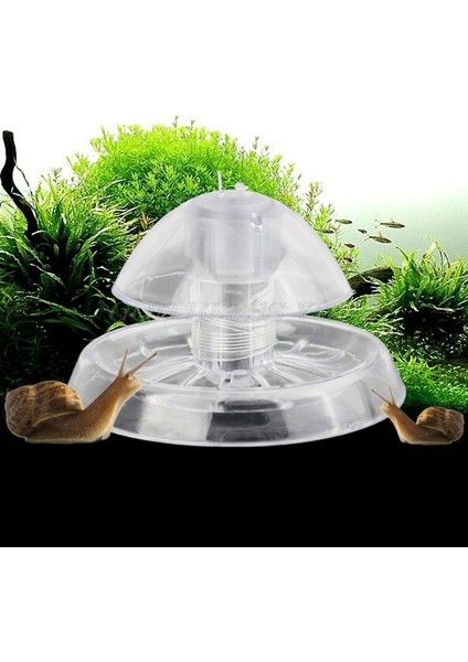 Beyaz Stil S Beden Berrak Salyangoz Tuzak Akvaryum Balık Tank Bitkiler Planarian Sülük Yakalama Ortamı (Yurt Dışından) fiyatları