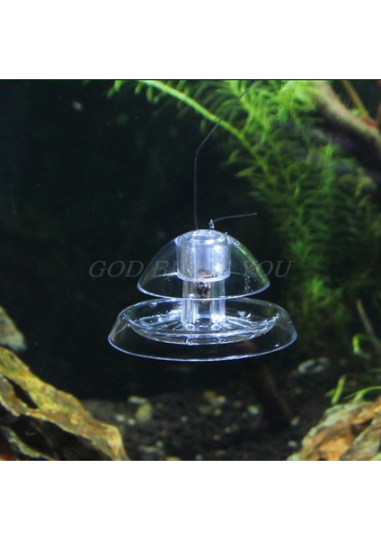 Beyaz Stil S Beden Berrak Salyangoz Tuzak Akvaryum Balık Tank Bitkiler Planarian Sülük Yakalama Ortamı (Yurt Dışından) fırsatları