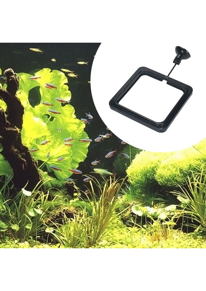 No.2 Tarzı Yüzgeç Der Ding Yüzük Emme Kupasına Istasyon Besleme Tepsisi Su Bitkisi Yüzdürge Çemberi Guppy Betta Akvaryum Aksesuarları (Yurt Dışından) fırsatları