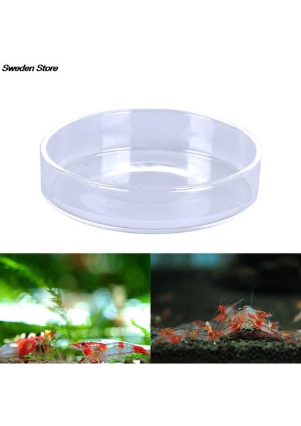 9cm Tarzı Yuvarlak Akvaryum Camı Böcek Yem Kabı Besleme Tepsisi - Tropikal Balık Kasesi (Yurt Dışından) fiyatları