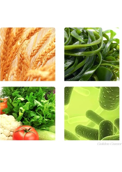 Gösterilen Stil Gibi 250 ml Süs Cichlid Pelletleri Akvaryum Balığı Altın Balığı Sazan Guppies Küçük Orta Tropikal Balıklar Yemi (Yurt Dışından) modelleri