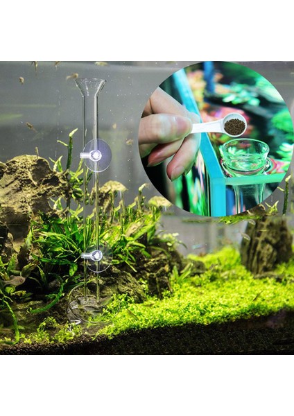 Tüp 35CM Tarzı Şeffaf Balık Tankı Karides Salyangoz Yem Kabı Akvaryum Aksesuarları Karides Yem Kabı (Yurt Dışından) indirimleri