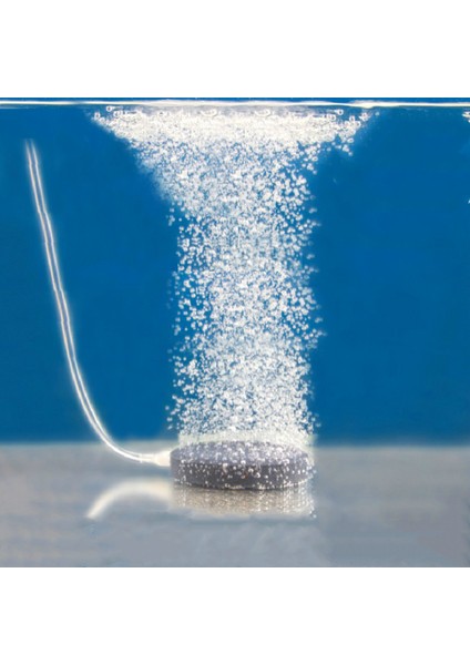 B Tarzı 40MM Balık Tankı Hava Kabarcık Taşı Aeratör Havuz Pompası Hava Taşı Kabarcık Diski Akvaryum Pompası Hidroponik Oksijen Tabak Hava Pompaları (Yurt Dışından) indirimleri