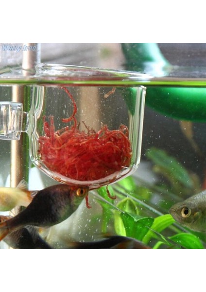 C Stili Akvaryum Balık Tankı Su Ürünleri Cam Saksı Bitki Dikme Bardak Tutucu Karides 1 Adet (Yurt Dışından) fiyatları