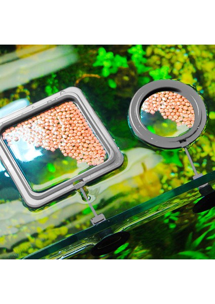 Kare Şekli Stili Yuvarlak Şekilli Balık Yemi Emme Kupası Akvaryum Atık Azaltıcı Su Düzeyini Koruyan Balık Besleme Istasyonu (Yurt Dışından) fiyatları