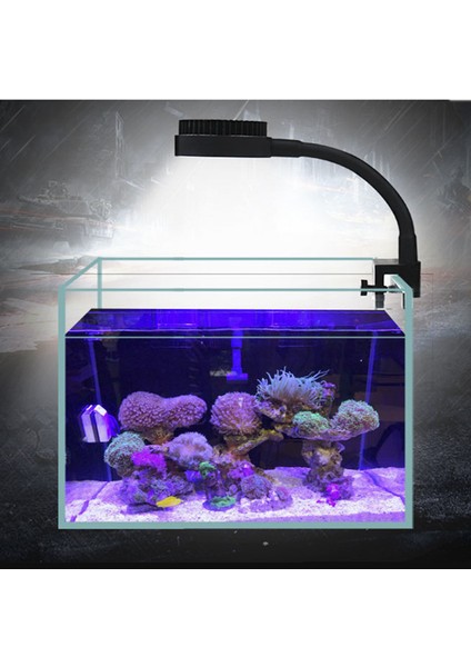 Zetlight M1 Stili Zetlight Deniz Akvaryumu LED Işık Mercan Sps Lps Akvaryum Deniz Resif Tankı Metal Boru Ayarlanabilir Açı Için cm Deniz Tankı LED (Yurt Dışından) fırsatları