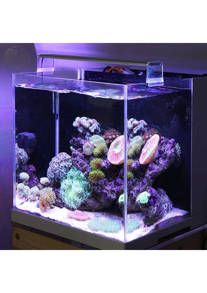 Metal Braket Stili Chihiros Deniz LED Işık Mercan Sps Lps Akvaryum Deniz Mercanı Tank Bitki Deniz Suyu LED Lamba Aksesuarları (Yurt Dışından) fiyatları