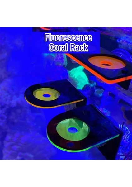 Yeşil Tek Stil Floresan Mercan Dallığı Akrilik Mercan Tutucu Raf Lps Askı Montaj Aracı Deniz Mercanı Resif Tankı Peysajlama (Yurt Dışından) fiyatları