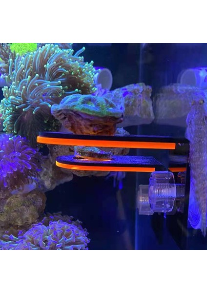 Yeşil Tek Stil Floresan Mercan Dallığı Akrilik Mercan Tutucu Raf Lps Askı Montaj Aracı Deniz Mercanı Resif Tankı Peysajlama (Yurt Dışından) indirimleri