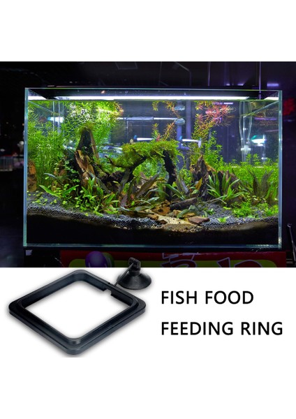 Kare Tarzı Yüzük Akvaryum Balık Tankı Istasyonu Yüzen Yem Tepsisi Kare Daire Aksesuar Su Bitkisi Batma Emme (Yurt Dışından) modelleri