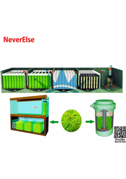 1 Adet Yeşil Stil 50CM Uzunluğunda Koi Havuzu Filtre Fırçası Büyük cm Akvaryum Filtre Fırçası Skimmer Filtreleme Sistemi Akvaryum Fırçası Balık Tankı Temizleme Aracı (Yurt Dışından) indirimleri