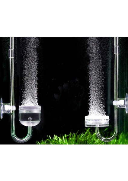 Büyük U Yuvarlak Stil Wuyouchy Uuidear Co2 Difüzörü Akvaryum Yaratıcı Su Ürünleri Akrilik Arıtıcı Balon Gösteri Balık Tankı Bitki Taze Deniz Suyu (Yurt Dışından) fiyatları