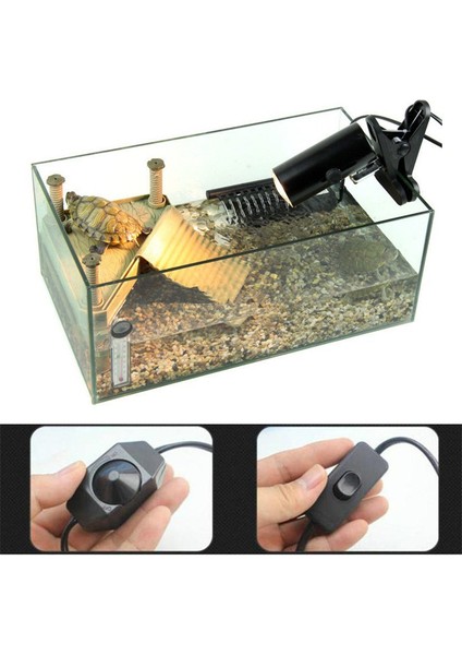 Beyaz Stil 2 Adet Tarz Sürüngen Isıtma Ampul Lamba Tutucu Uva Uvb Isıtma Ampul Lambası Tutucu Akvaryum Aydınlatma Sıcaklık Kontrolü Için Kaplumbağa Kertenkele Için (Yurt Dışından) fiyatları