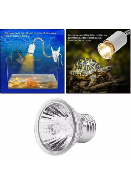 2 Adet 50W(220V) Tarzı Kaplumbağa Isıtma Uv Işık Ampulü Sürüngen Lambası Turuncu Baskı 3.0 Uvb Reptil Ampulü Sürüngen Isıtma Lambası Kurbağalar Kertenkeleler Sıcaklık Kontrol Cihazı (Yurt Dışından) modelleri