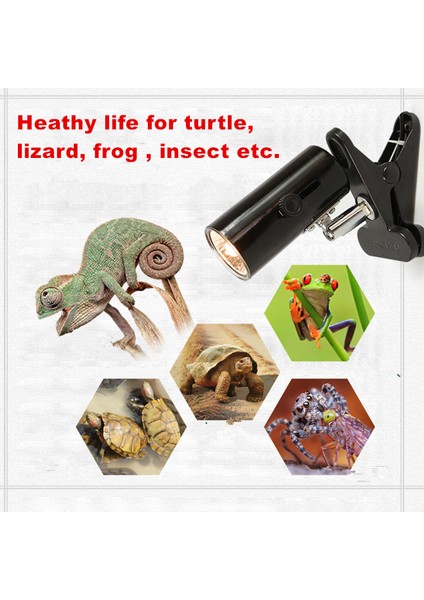 Yeşil Stil 2 Adet Tarz Sürüngen Isıtma Ampul Lamba Tutucu Uva Uvb Isıtma Ampul Lambası Tutucu Akvaryum Aydınlatma Sıcaklık Kontrolü Için Kaplumbağa Kertenkele Için (Yurt Dışından) modelleri