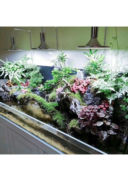 20W Beyaz Stil 220V Balık Tankı Akvaryum LED Işık Suda Çim Bitkisi Büyüme Lambası Kaplumbağa Sürüngen Aydınlatma Klipsli Beyaz LED Renk (Yurt Dışından)