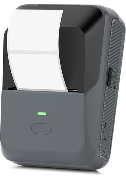 Ev ve Ofis Ticari Giyim Etiketi Fiyatı Için P2 Mini Yazıcı (Yurt Dışından) fiyatları