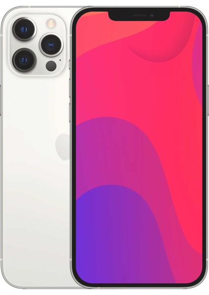 IPhone 12 Pro Max 128GB C Grade Yenilenmiş Cep Telefonu (12 Ay Garantili)